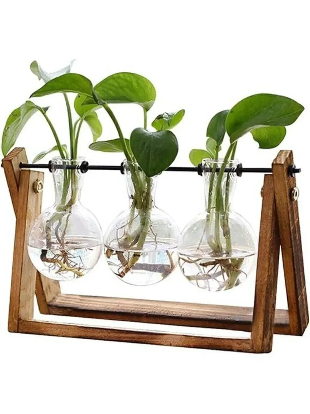 Plant Terrarium Wooden Stand,Air Planter Bulb Glass Vase Tabletop Home Garden